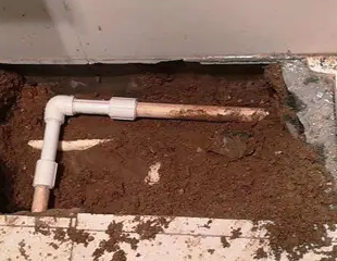 印江测漏水哪家好