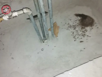 印江卫生间测漏水价格明细