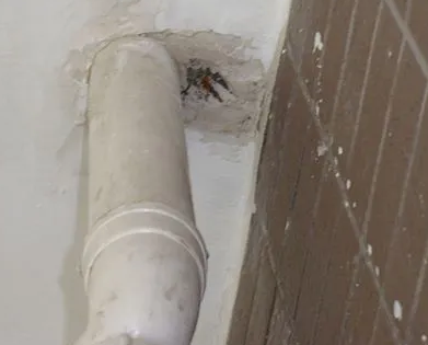 印江漏水检测哪家好